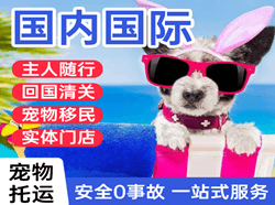 广州白云机场快运国际宠物托运 【国
